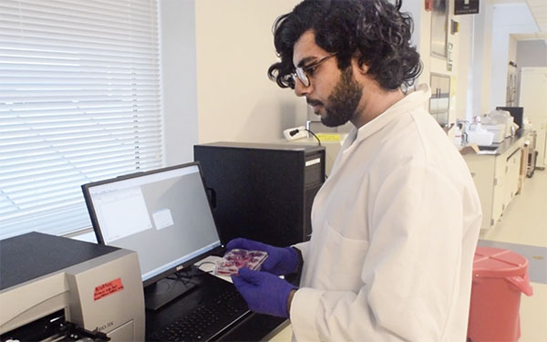  Faisal Masood, one of the 2020 Knights of St. Patrick, at work in his lab. (Image courtesy of Faisal Masood.)